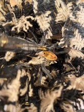 Load image into Gallery viewer, Vintage Chanel Large Oversized Camellia Flower Pin Black and Ivory